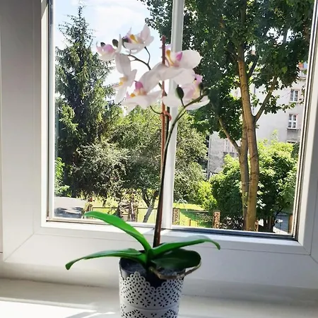 Διαμέρισμα Cozy Apartment, Old Town, Old Town 2-4os Γκντανσκ